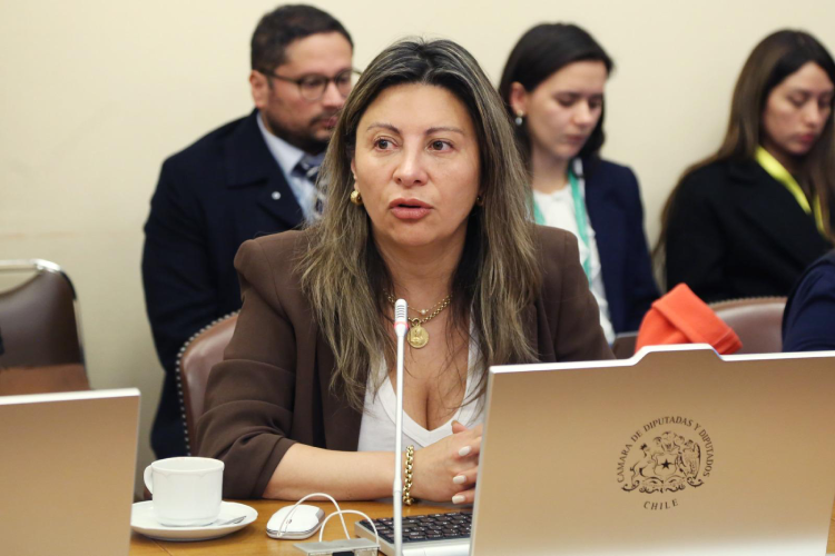 Foto diputada Valdebenito