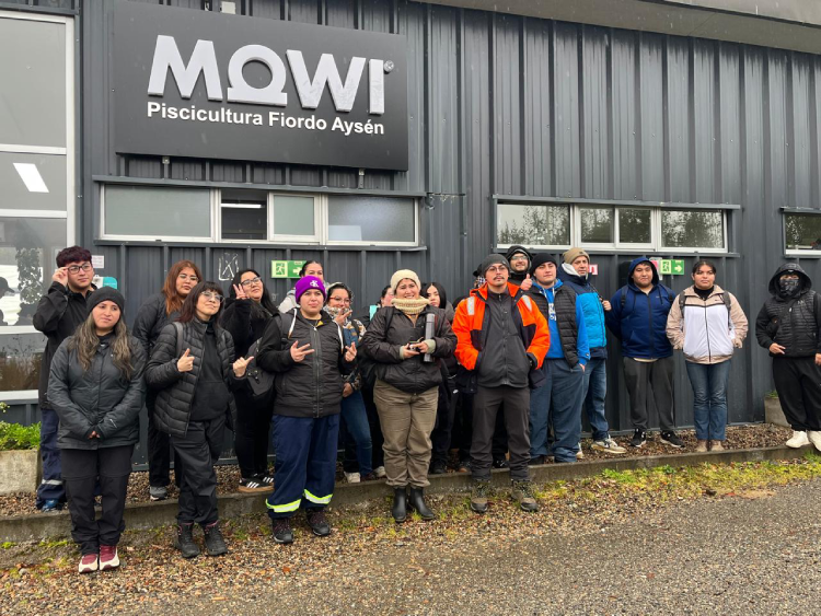 MOWI 3