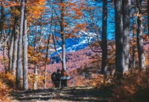 Sernatur Aysén abre convocatoria para obtener el Sello “S” de Sustentabilidad Turística