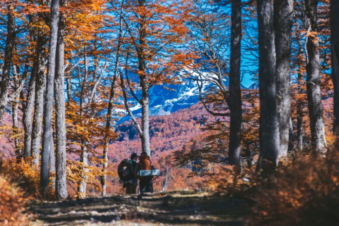Sernatur Aysén abre convocatoria para obtener el Sello “S” de Sustentabilidad Turística