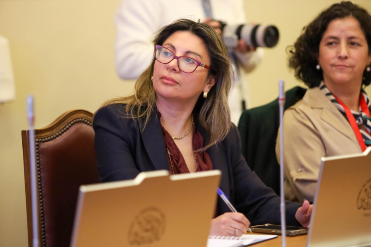 diputada valdebenito