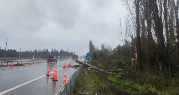 hombre-muere-tras-caida-de-arbol-mientras-despejaba-ruta-por-sistema-frontal-en-negrete-750x400 (1)